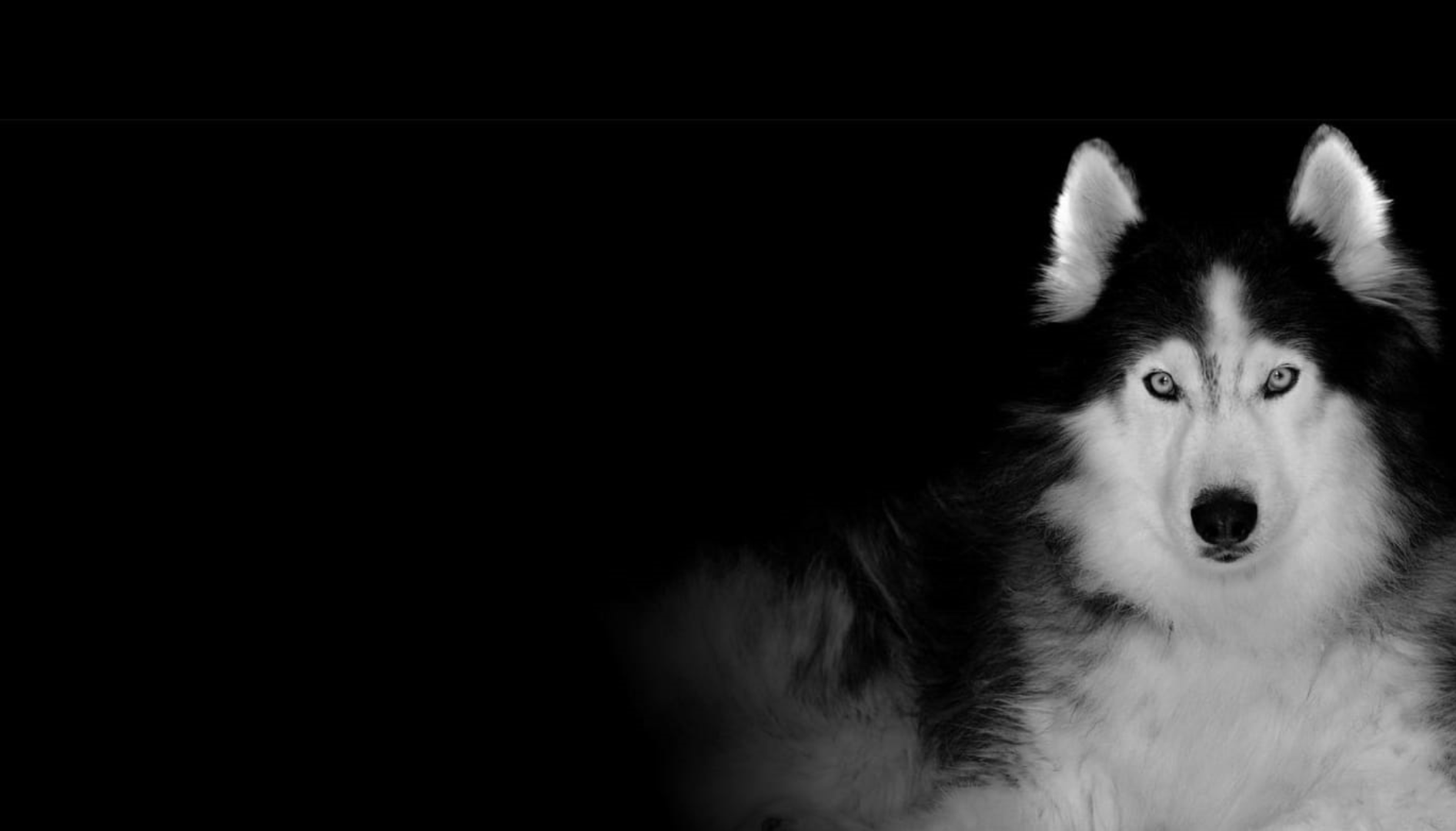 Imagem de background