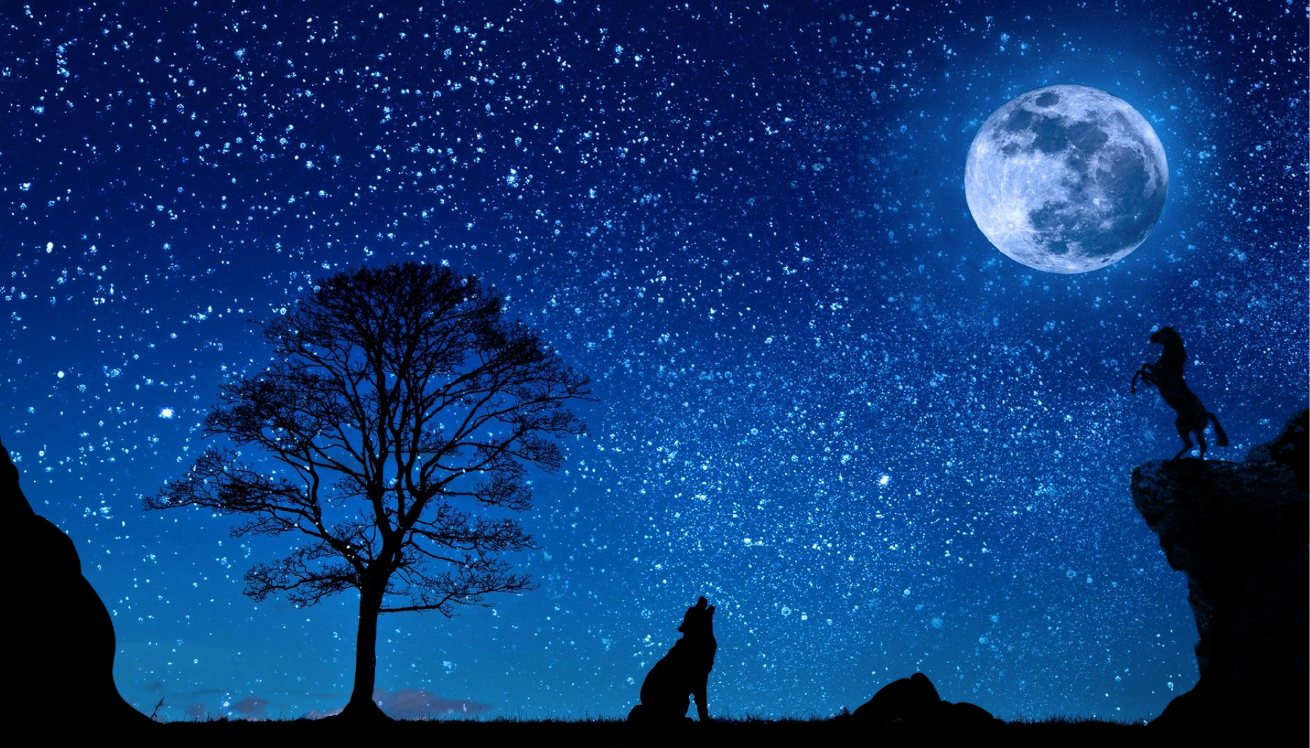 Imagem de background